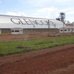 Glencore---S.-Félix-do-Araguaia