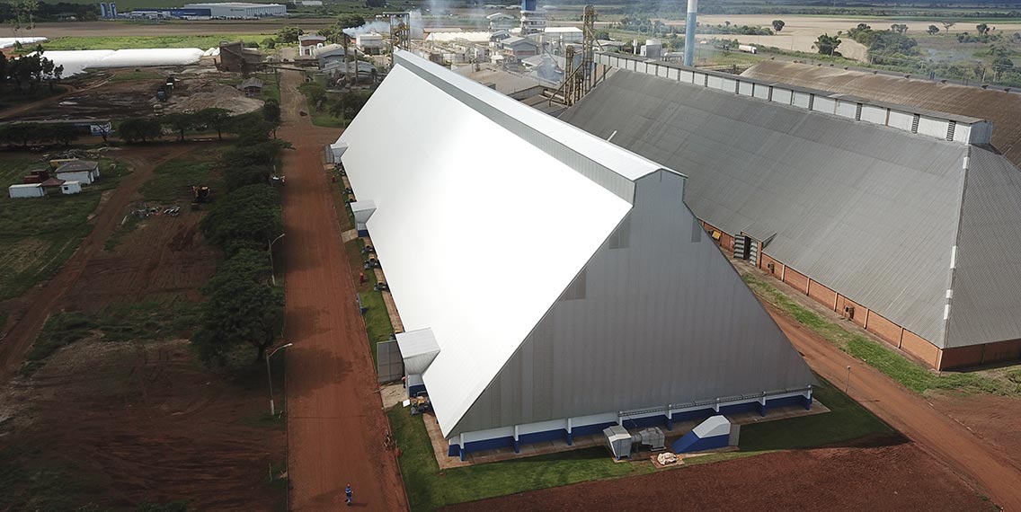 LDC---Itumbiara---Algodao-2